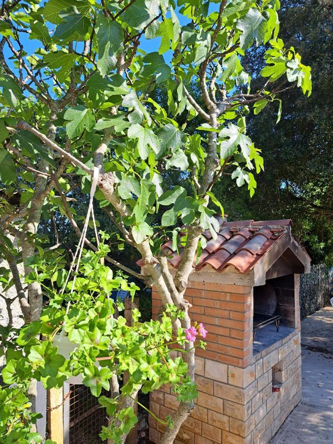 Apartman Melita Galizana Exterior photo