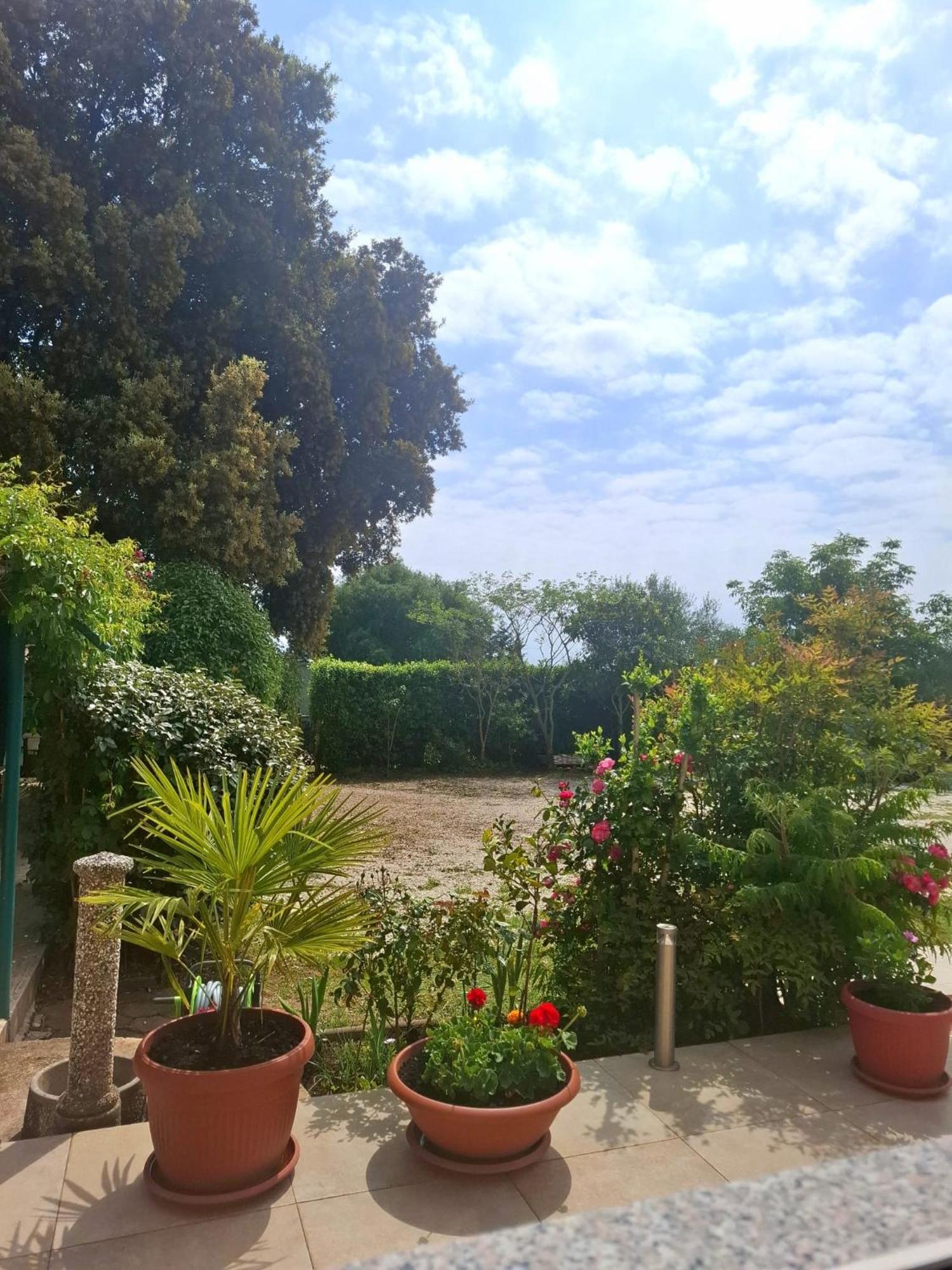 Apartman Melita Galizana Exterior photo
